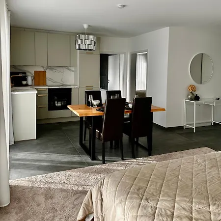 Studio I Whirlpool I Naehe Zu Wertheim Village Und Golfanlage I Netflix I An Der A3 Appartamento